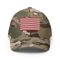 Rebellious Flag Flexfit