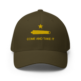 Come and Take it Flexfit