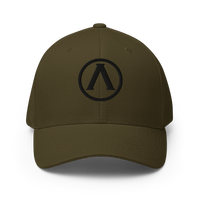 Aspis Shield Flexfit