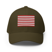 Rebellious Flag Flexfit
