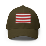 Rebellious Flag Flexfit