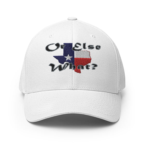 Texas Or Else Flexfit