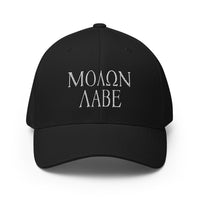 Incognito Molon Labe Flexfit