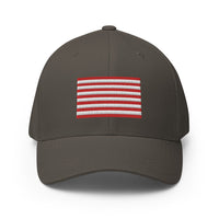 Rebellious Flag Flexfit