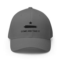 Come and Take it Flexfit