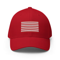 Rebellious Flag Flexfit