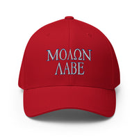 Incognito Molon Labe Flexfit