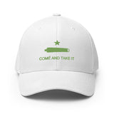 Come and Take it Flexfit