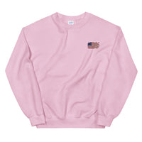 Distressed Revolutionary Flag Crew Neck Sweatshirt