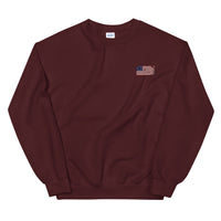 Distressed Revolutionary Flag Crew Neck Sweatshirt