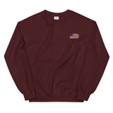 Distressed Revolutionary Flag Crew Neck Sweatshirt